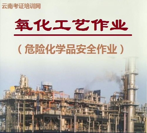 氧化工艺作业.jpg